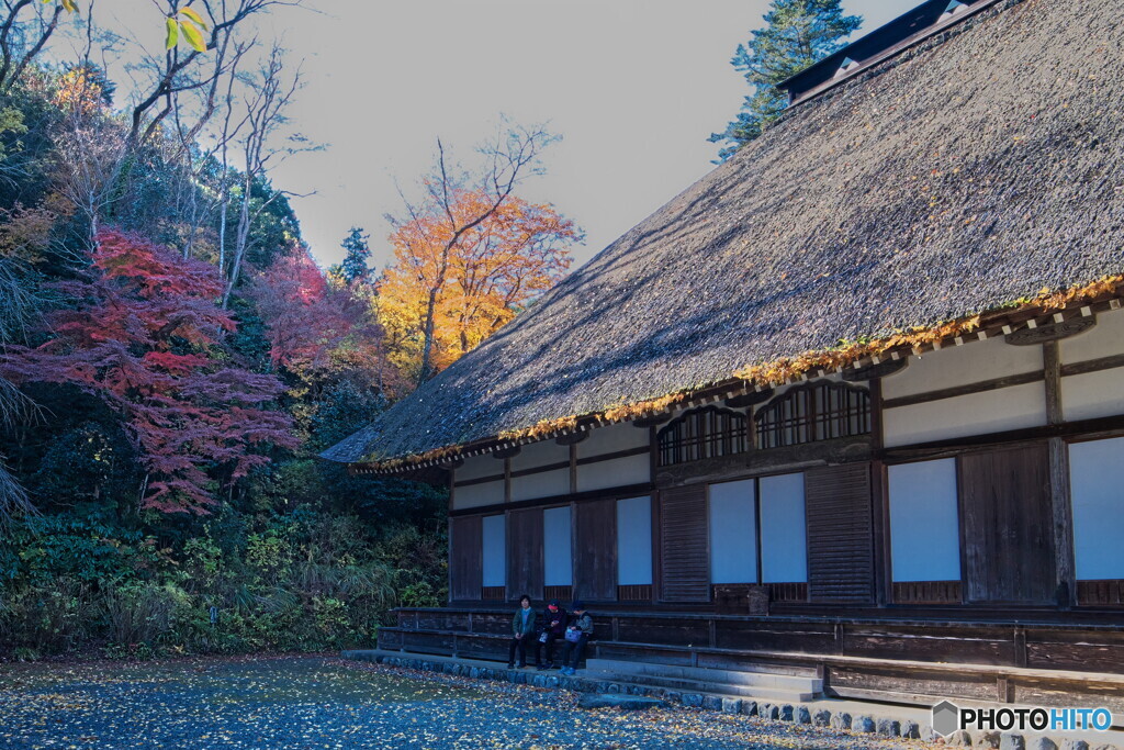 ３人で紅葉を愛でる
