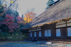 ３人で紅葉を愛でる