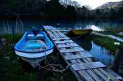 出番を待っています