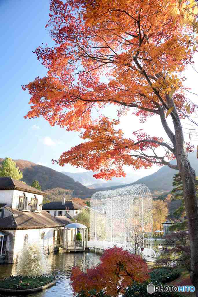 箱根ガラスの森美術館～その２　DSC_0444