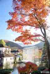 箱根ガラスの森美術館～その２　DSC_0444