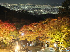 夜景