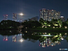 浜離宮の栗名月