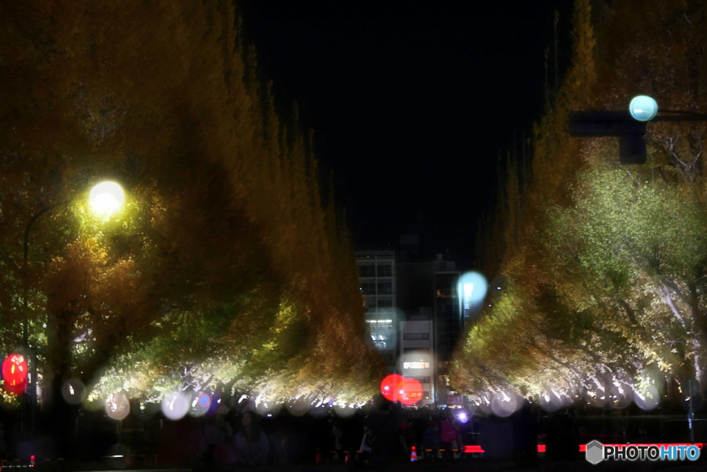 イチョウ並木のライトアップ　P1080462
