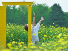 手のひらを太陽に　P1168164