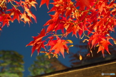 一層赤く見えました