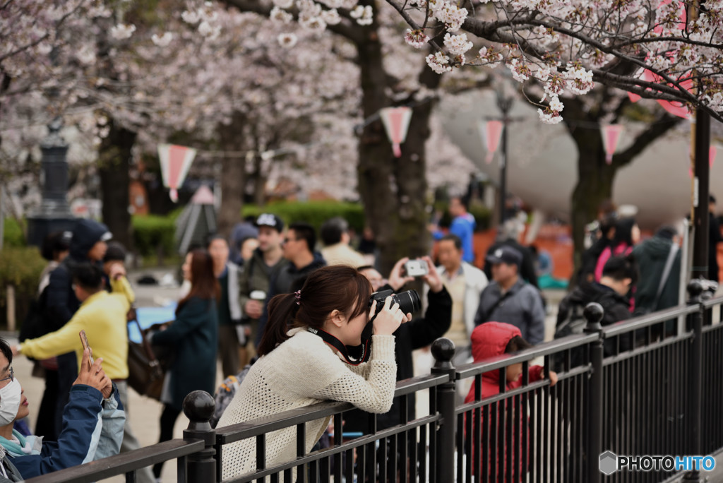 ここは撮っておかなくっちゃ～１