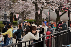 ここは撮っておかなくっちゃ～１