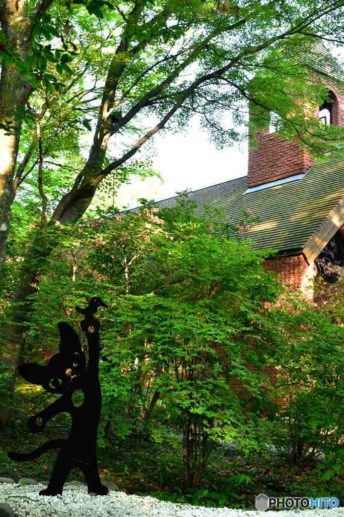 小さな教会とネコ