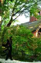 小さな教会とネコ