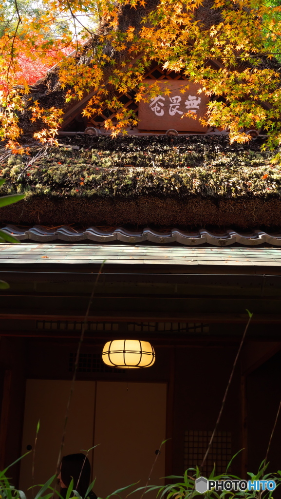 お茶席　P1197573