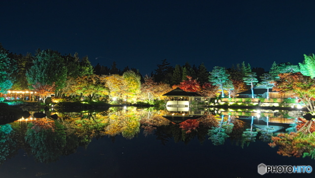 紅葉の夜の日本庭園