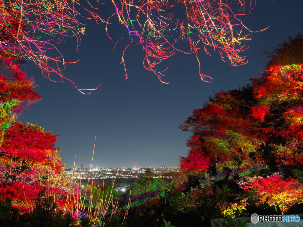 ライトアップが額縁