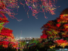 ライトアップが額縁