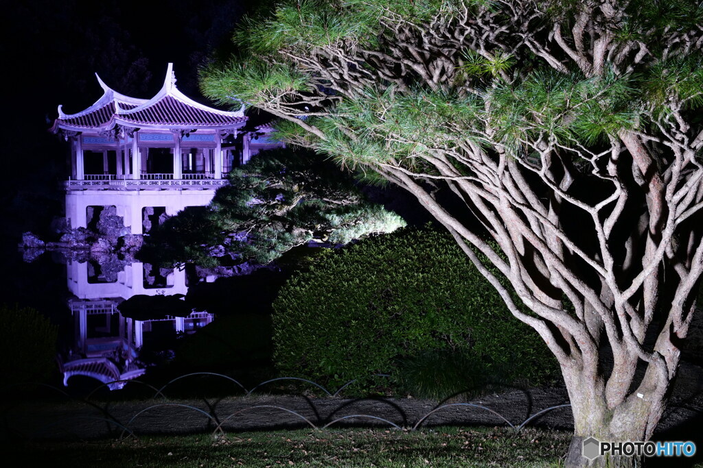 旧御涼亭のライトアップ其の2　P1128348