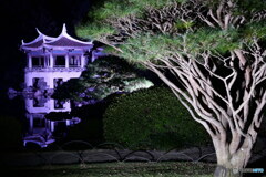 旧御涼亭のライトアップ其の2　P1128348