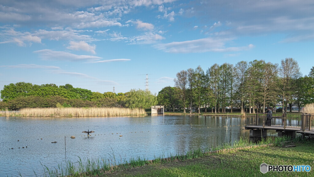 水辺の風景＃２