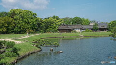 岡山後楽園＃２