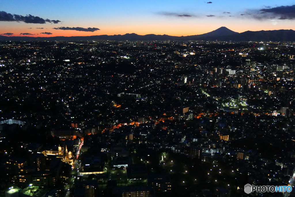 灯りがともる　P1090303