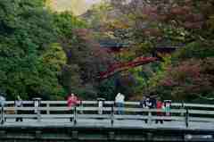 甲斐の猿橋その２