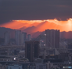 都会の光芒　P1168460