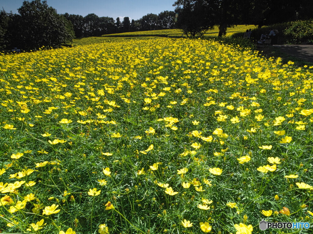 レモンブライトの世界＃２