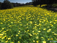 レモンブライトの世界＃２