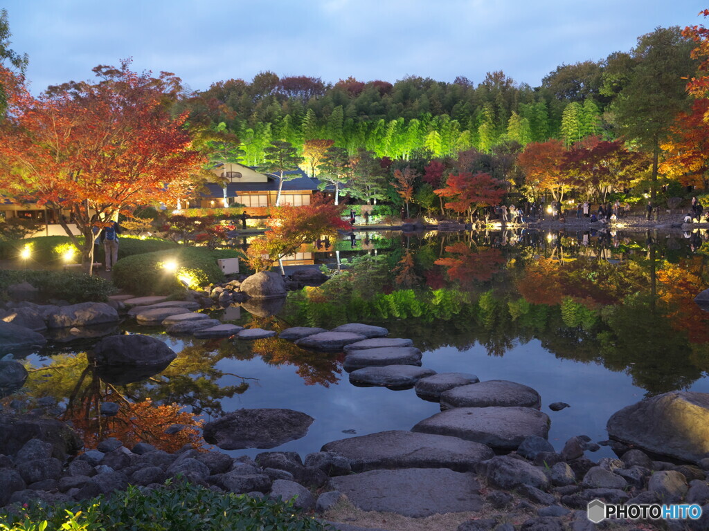 昭和記念公園の秋の夜散歩＃１