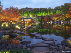昭和記念公園の秋の夜散歩＃１