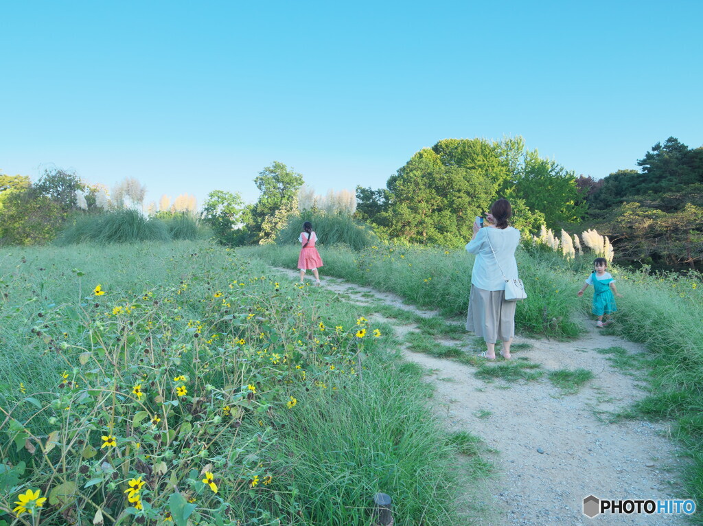 微笑ましき瞬間