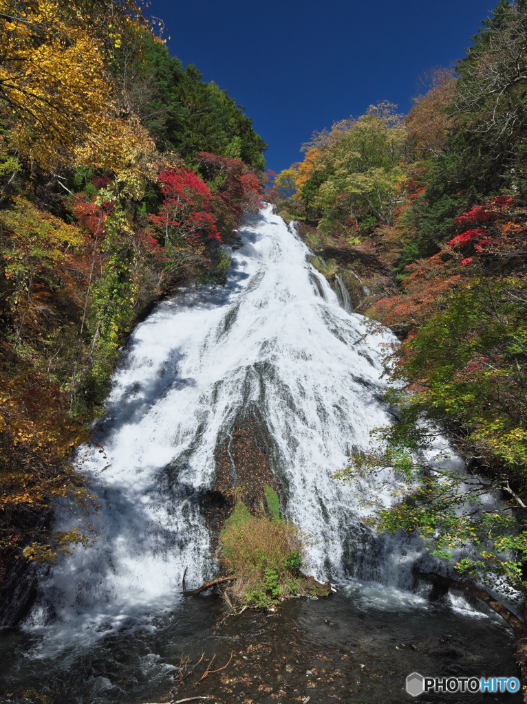 今年の湯滝の紅葉は鮮やかです