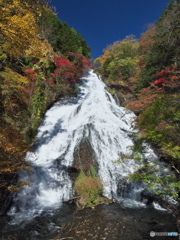 今年の湯滝の紅葉は鮮やかです