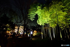 六義園の帰り道で