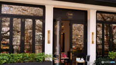 ウインドウ花見その2　P1156400