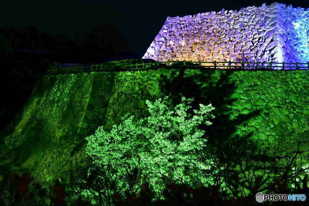 大和郡山城址の夜景～３