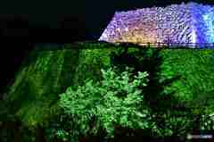 大和郡山城址の夜景～３