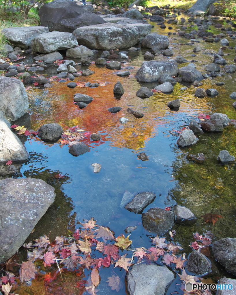 水面の紅葉　PA310699
