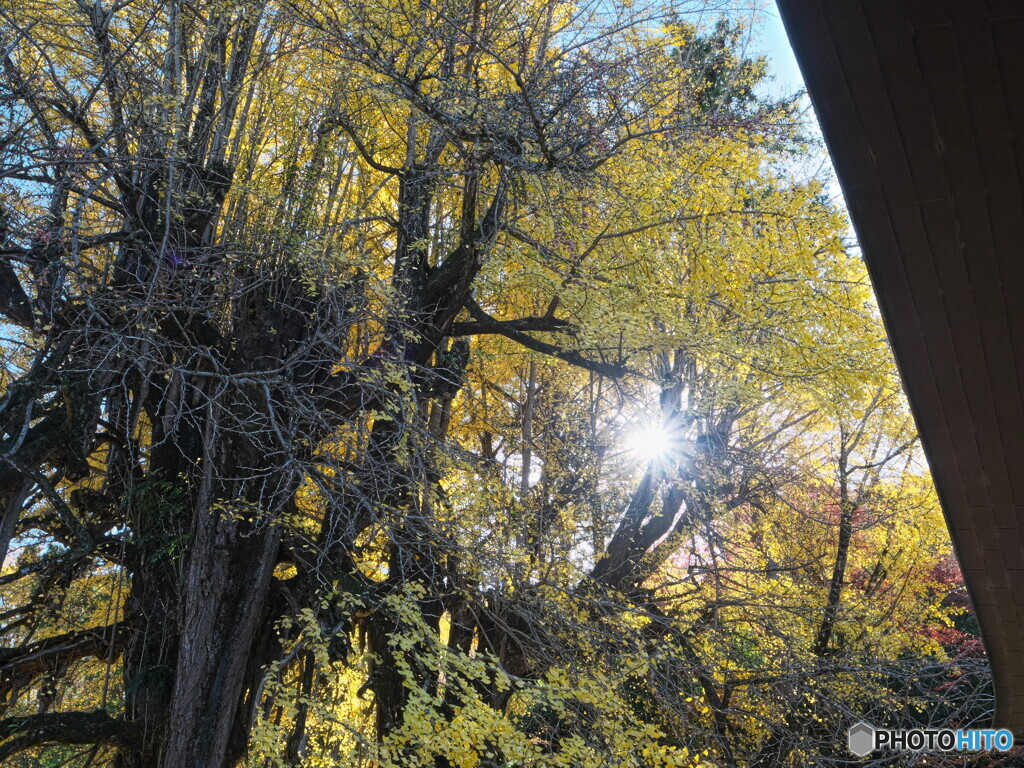 キラリ・キラリ・キラリ＃３