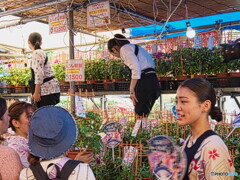 東京の入谷朝顔まつり2024