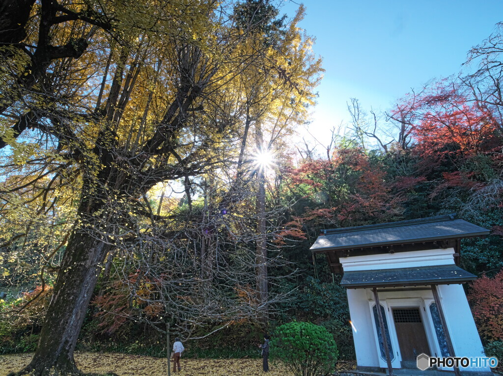 キラリ・キラリ・キラリ＃２