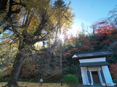 キラリ・キラリ・キラリ＃２