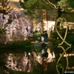 恋人たち其の1　P1054854