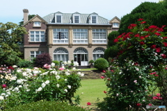 鳩山会館のバラⅠ　P1195583