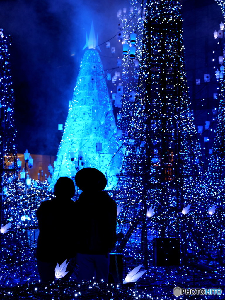 恋人たち～その２　P1030031