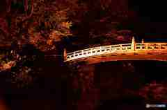 日光神橋の紅葉その２