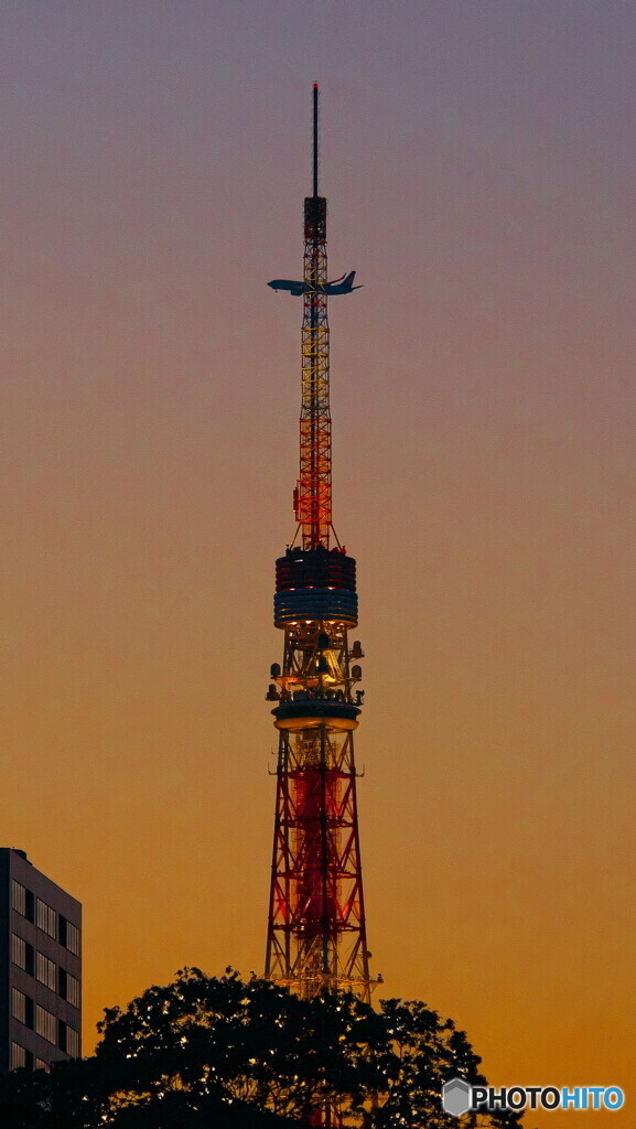 東京タワーと航空機＃３