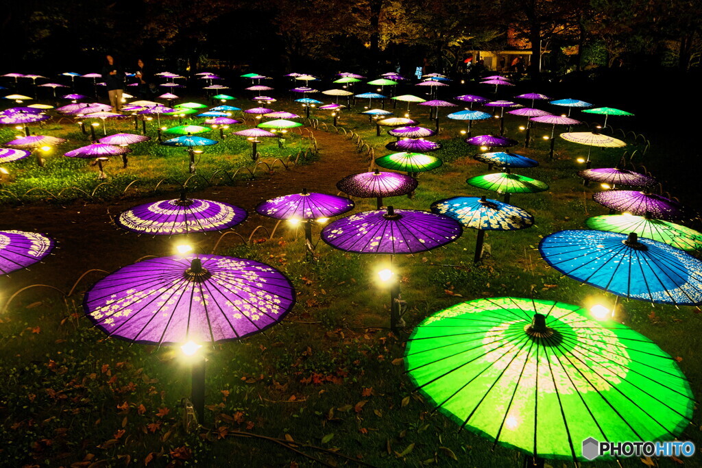 ライトアップされた和傘のオブジェ