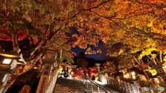 神社の紅葉　P1029195