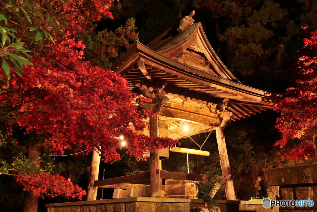 夜の鐘楼　P1029291