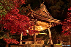 夜の鐘楼　P1029291
